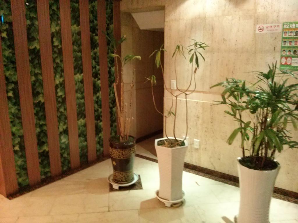 Apsan Business Hotel 大邱 外观 照片